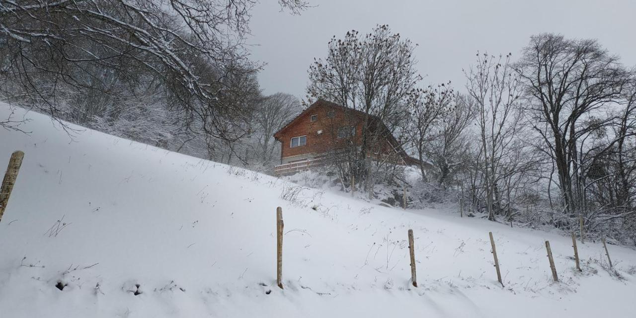 Villa L Ame Et Son Du Coeur Dorenaz Esterno foto