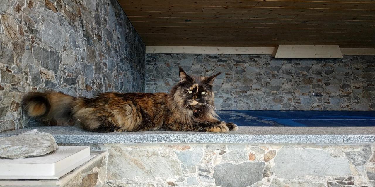Villa L Ame Et Son Du Coeur Dorenaz Esterno foto